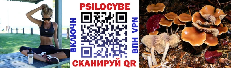 KRAKEN Приморск Галлюциногенные грибы Psilocybe купить наркоту