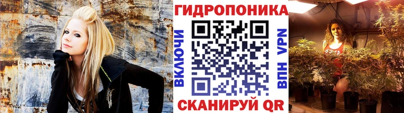 хочу наркоту  Приморск  ссылка на мегу как войти  Канабис ГИДРОПОН 